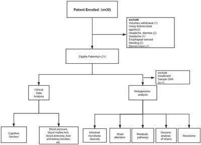 Rifaximin Modulates the Gut Microbiota to Prevent Hepatic Encephalopathy in Liver Cirrhosis Without Impacting the Resistome